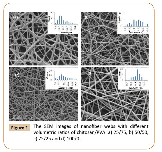 Characterization Of Electrospinning Parameters Of Chitosan Poly Vinyl Alcohol Nanofibers To Remove Phenol Via Response Surface Methodology Insight Medical Publishing